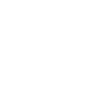 Licensed And Insured Masons